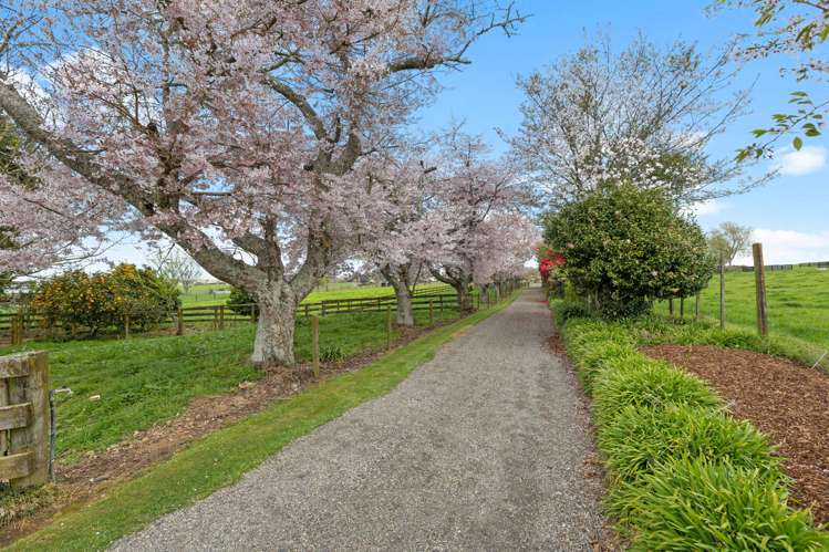 128 Matai Road Matamata_18