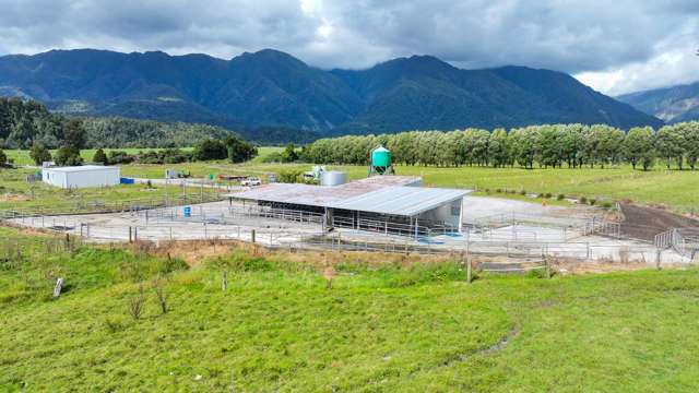 Large Scale Dairy Farm With Scope