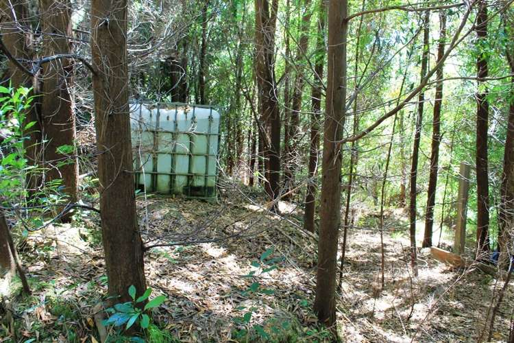 South East Bay Kenepuru Sound_9