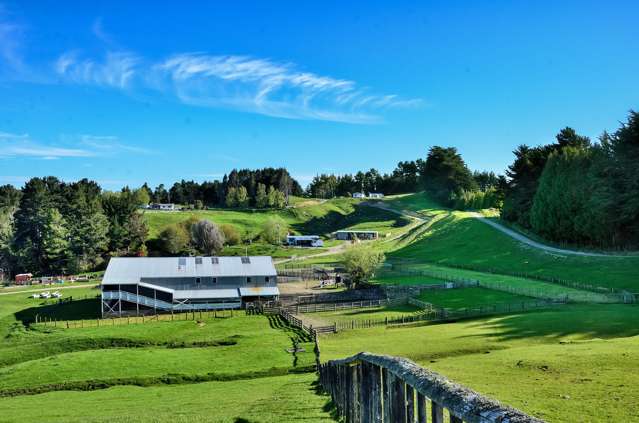 281 Matanui Road (Matanui Station) Tauwhareparae_2