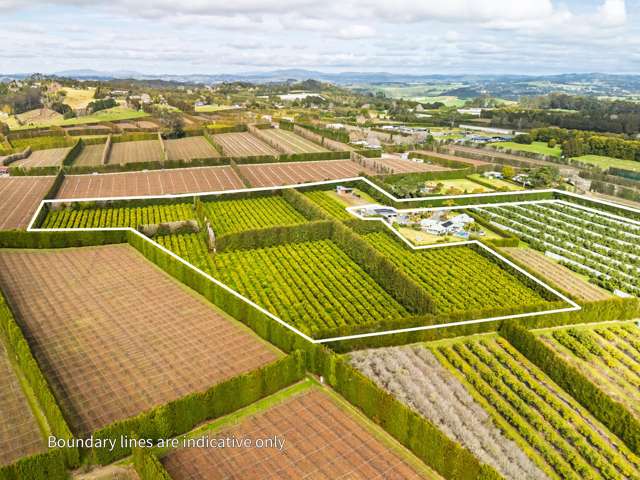 581D Kerikeri Road Kerikeri_1