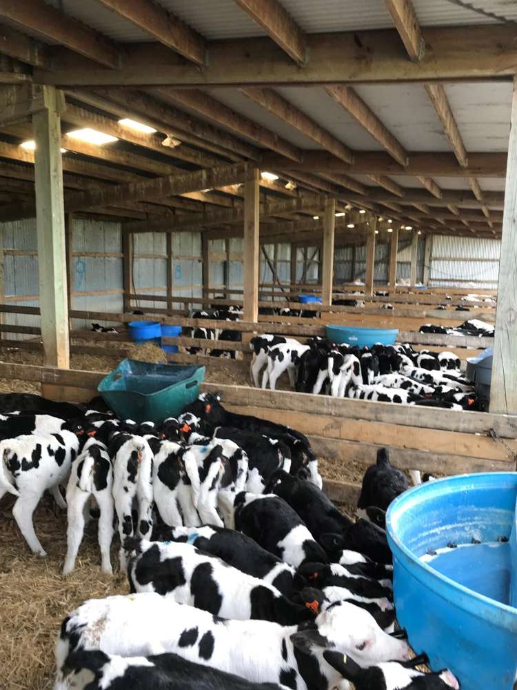 1599 Hundred Line Road East Winton_8