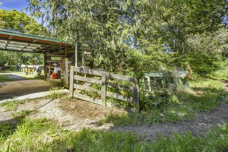 3/193 Racecourse Road Cambridge_21