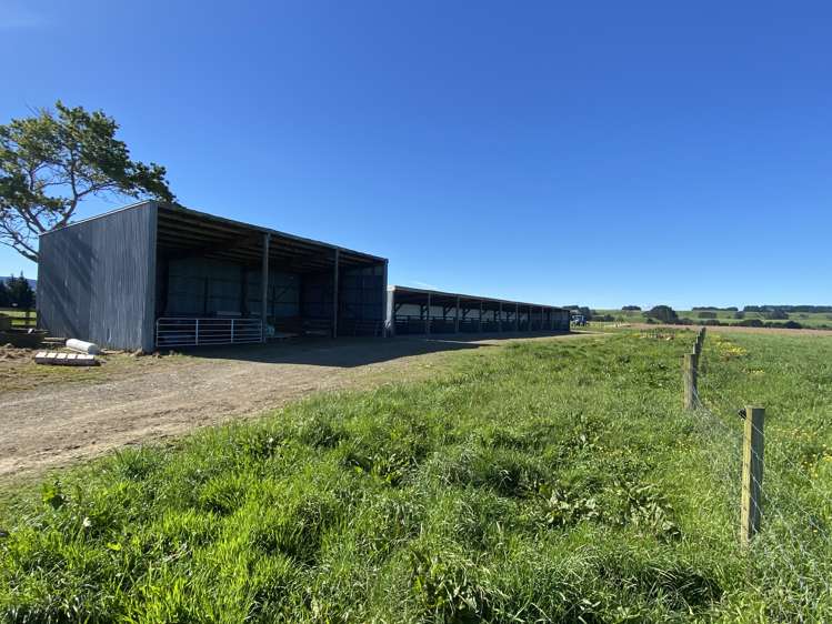 Parkville Road Eketahuna_5