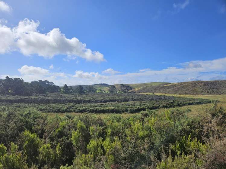 1 Basin Road Dargaville_11