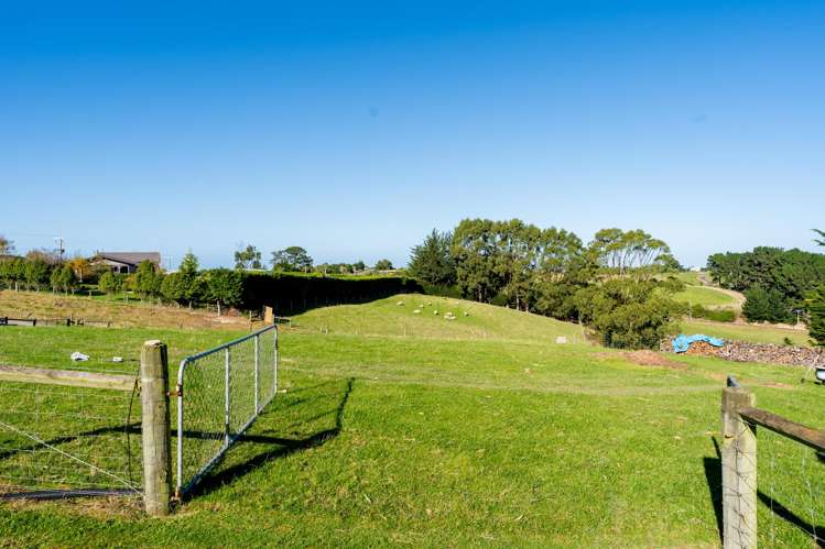 27 Green Island Bush Road Blackhead_29