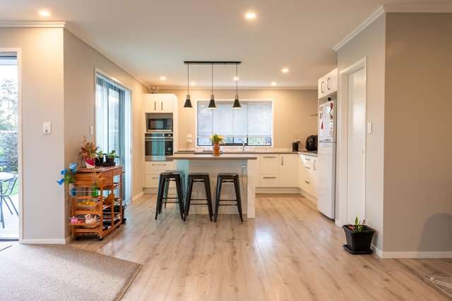 1 Monarch Drive Ashhurst_4