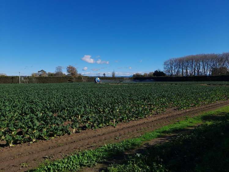 480 Appleby Highway Appleby_11