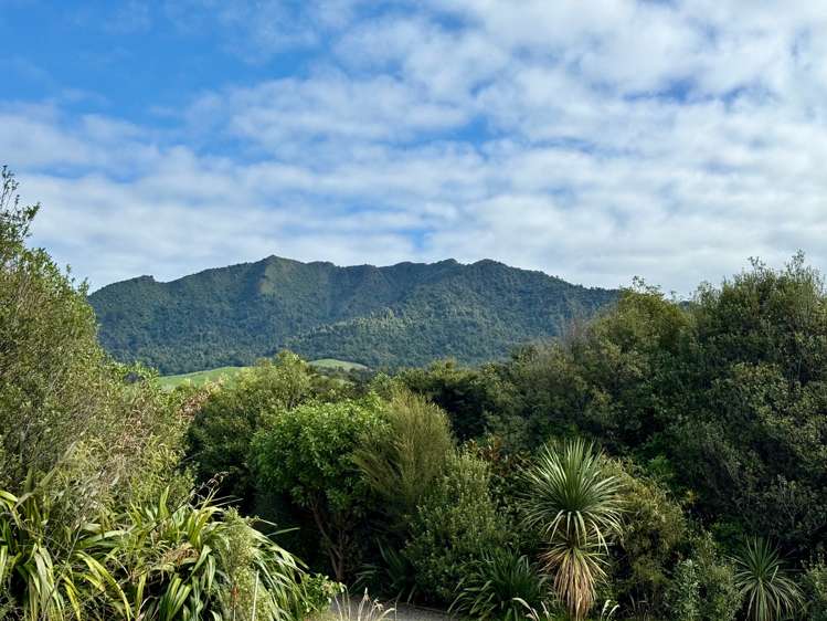 669A Te Hutewai Road Raglan_39