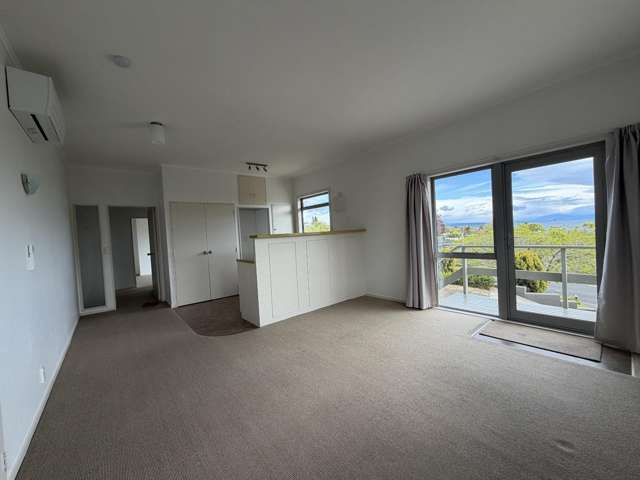 24b Rokino Road 11201_3