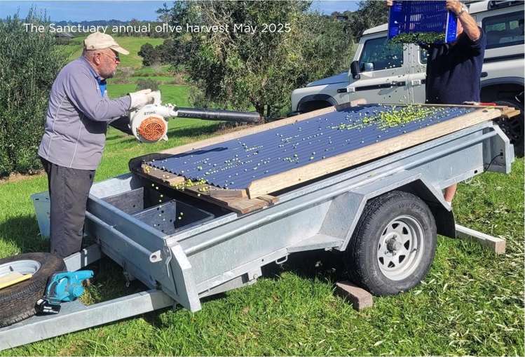 157 Robert Hastie Drive Mangawhai_38