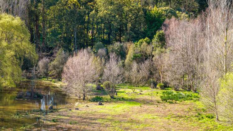 23 Breckenridge Lane Puketapu_34