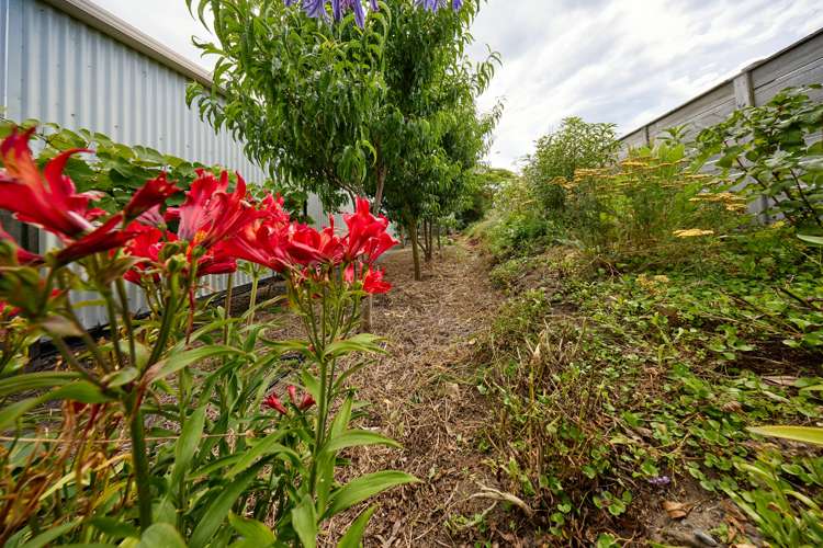 219 Beach Road Kaikoura_64