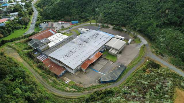 101 Collins Avenue Tawa_2