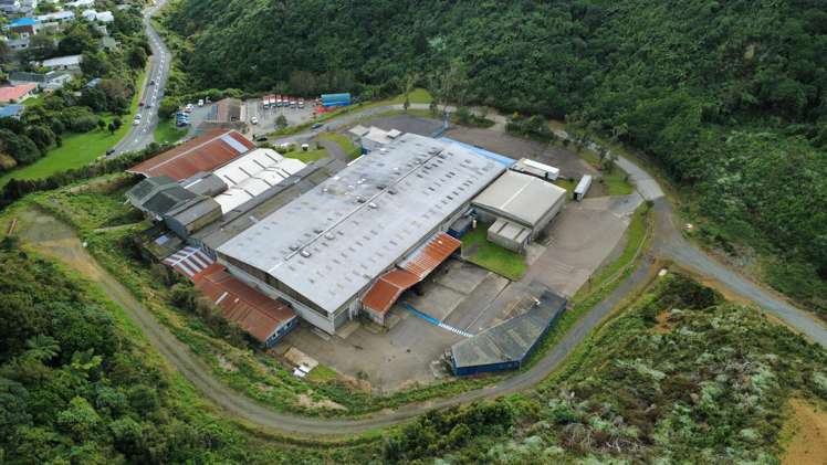 101 Collins Avenue Tawa_2