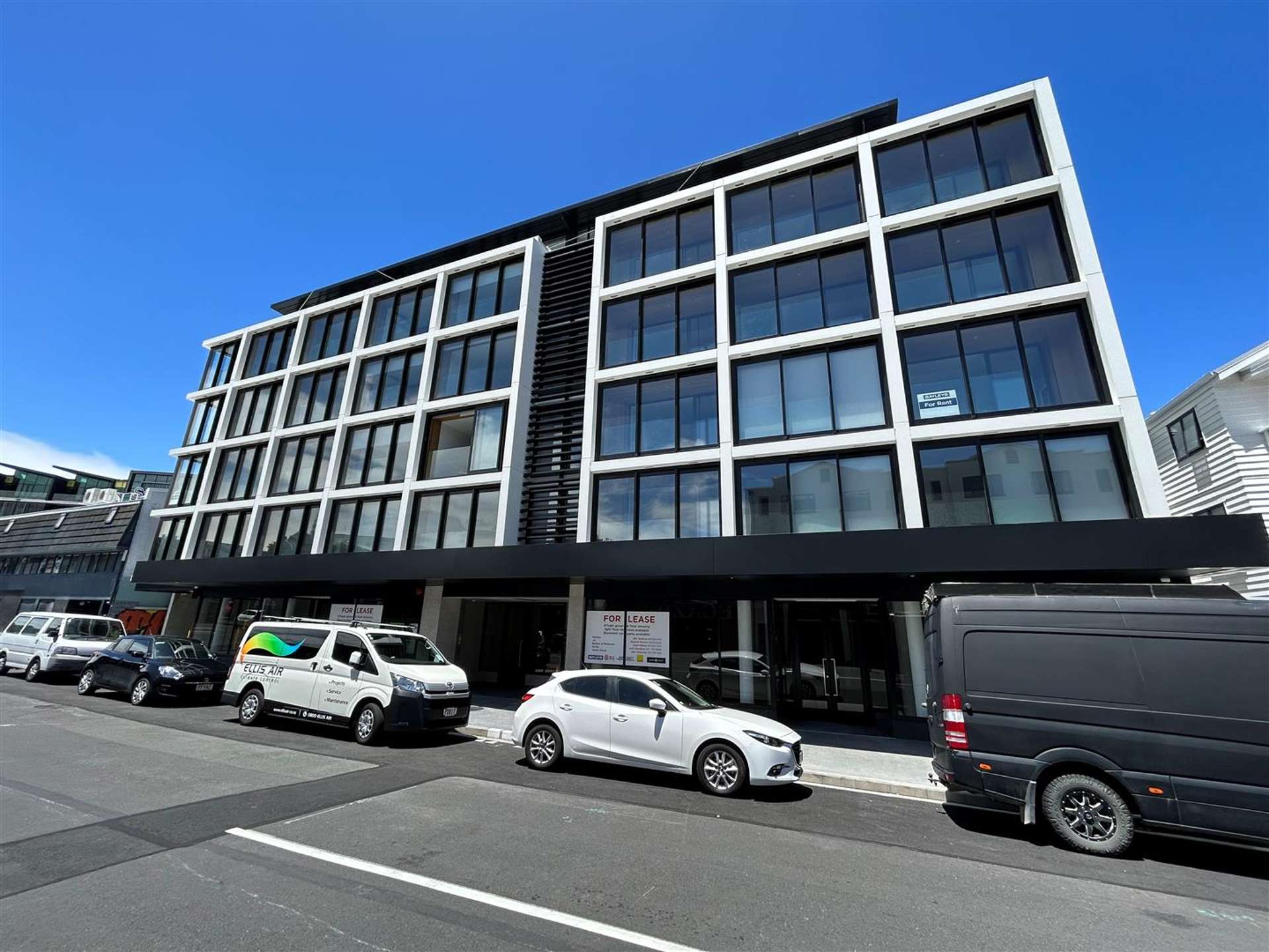 8 Rose Road Grey Lynn_0