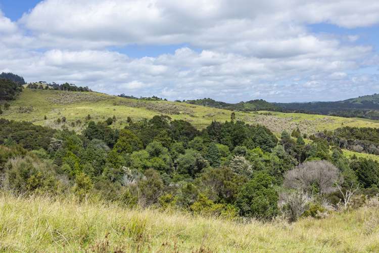 48 Rataroa Road Kaeo_12