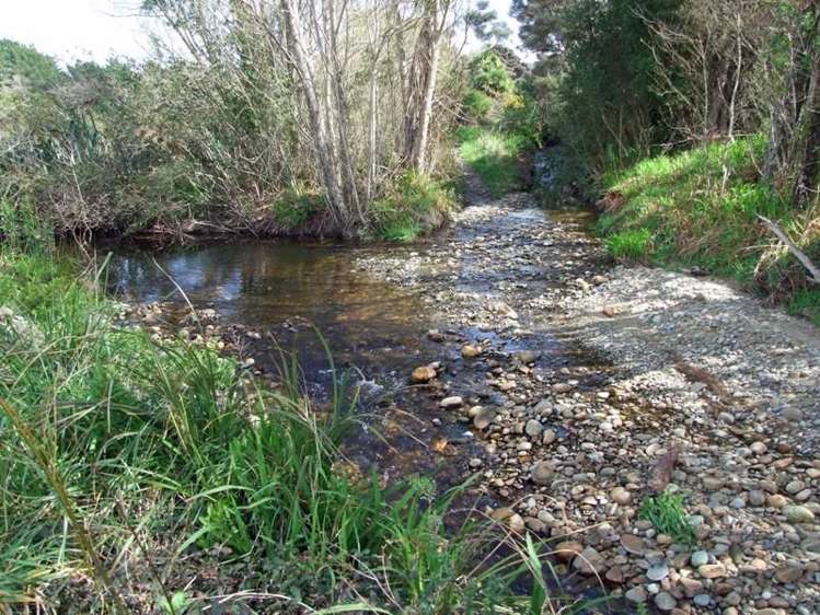 172 Wharariki Road Kahurangi National Park_15
