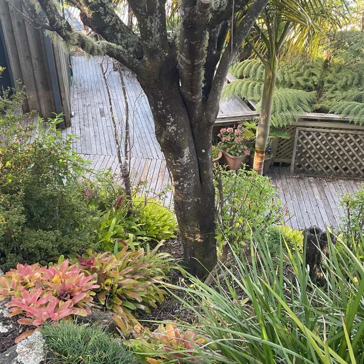 18A Beach Street Sandspit_23