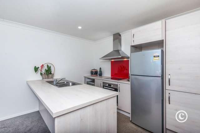 8b Homebush Road Khandallah_4