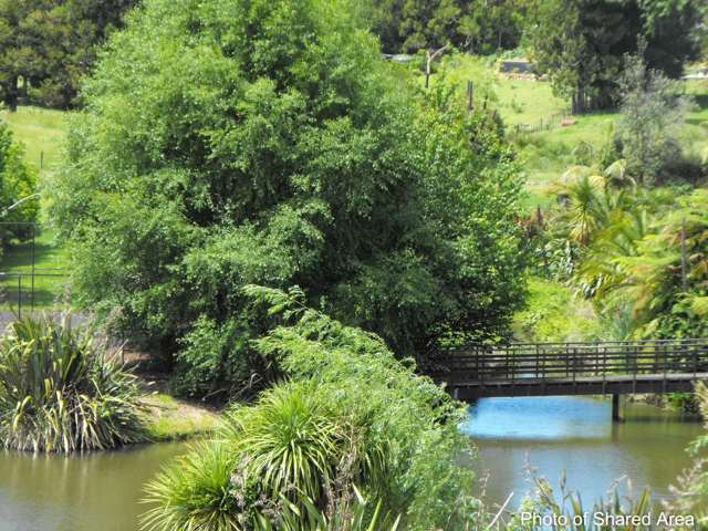 29 Alderton Drive Kerikeri_2