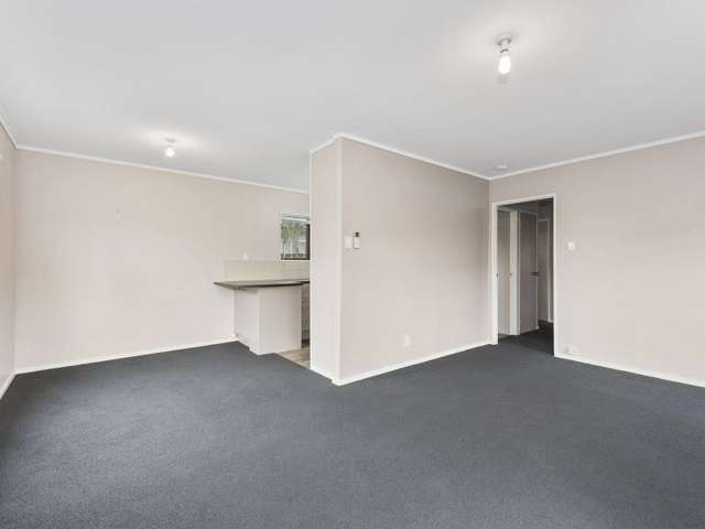 83b Albert Street Hamilton East_2