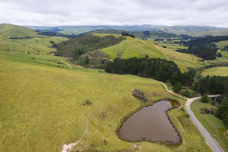 83 Towai Road Dannevirke_8