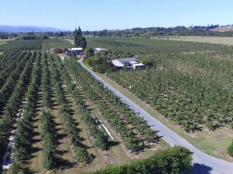 62 Edwards Road Lower Moutere_3