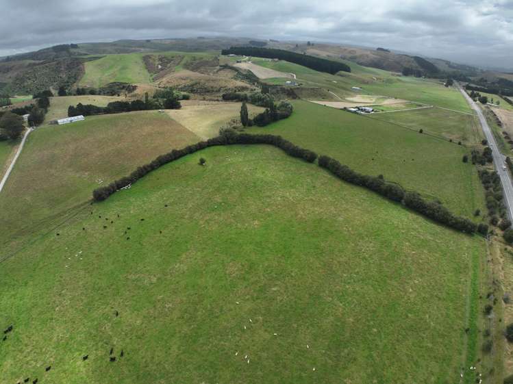 58 McElwee Road, Meadowbanki Palmerston_7