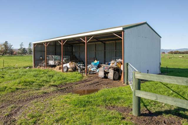 649 Wani Road Netherton_2