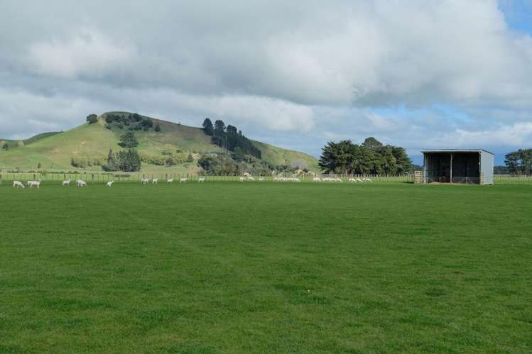 63 Hamilton Road Dannevirke_18