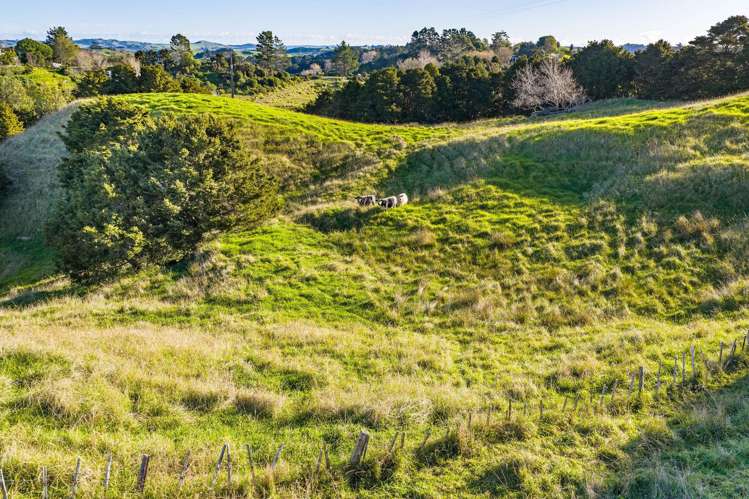 61A Porter Road Paparoa_13