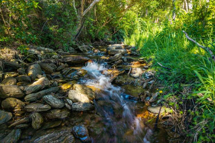 12 Manuka Drive Ngakuta Bay_17