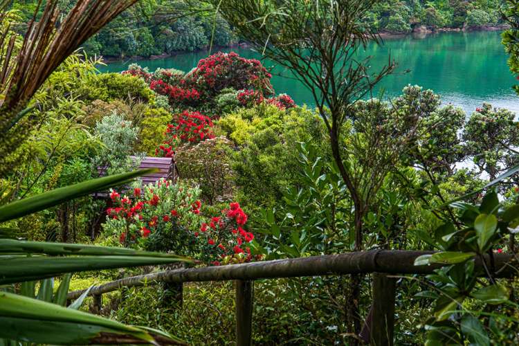 252 Matapouri Road Tutukaka_18