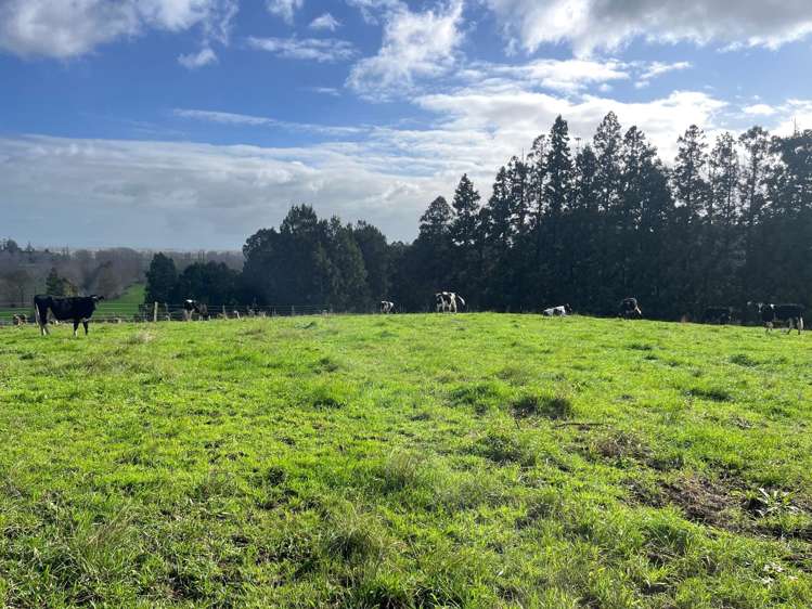 7541 State Highway 2 Paeroa_9