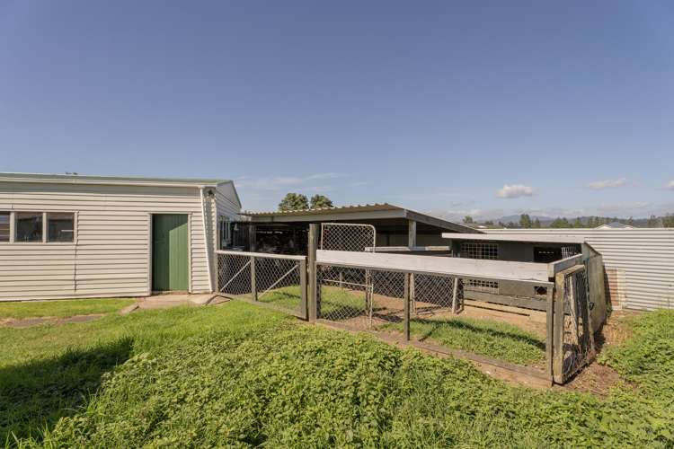 18 Meadow Drive Whitianga_16