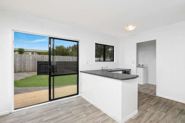 1/155b Finlayson Avenue Clendon Park_1