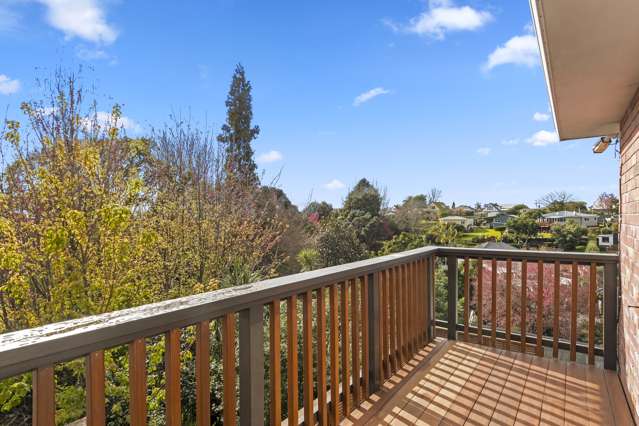 137 Waihi Road Judea_4