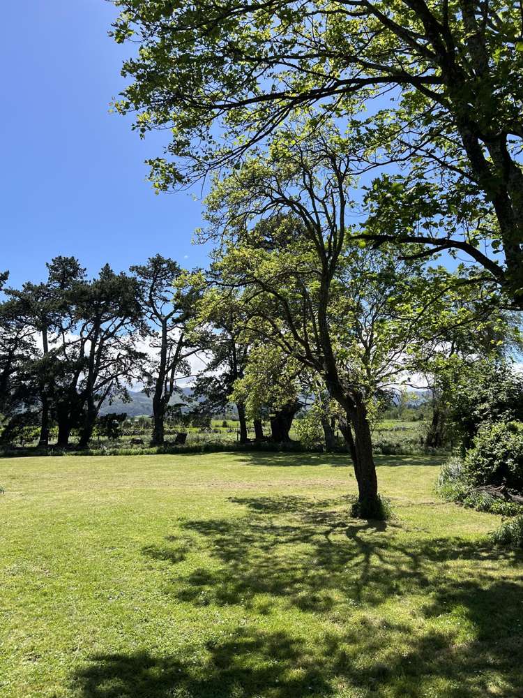 136 Lincoln Road Carterton_18