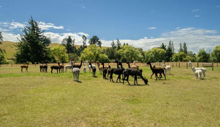 376 Neudorf Road Upper Moutere_1