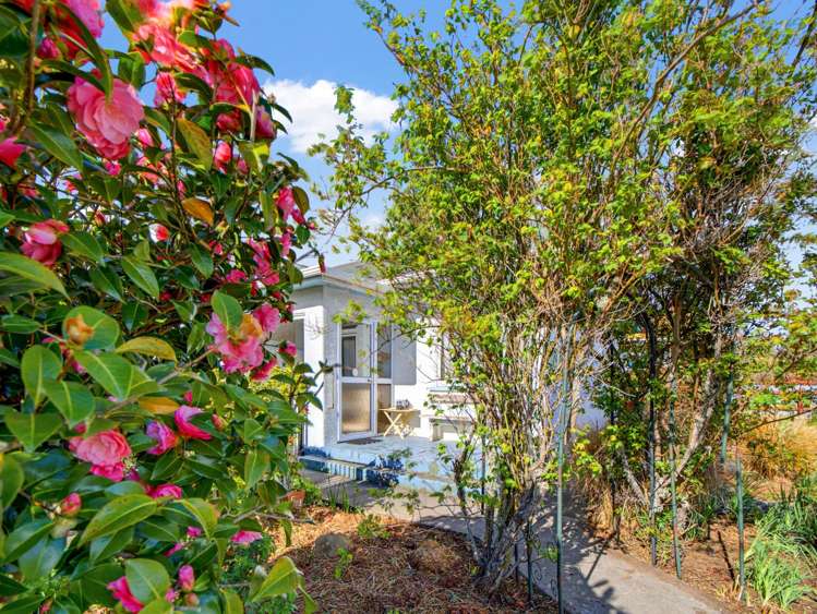 88 Ronaldsay Street Palmerston_27