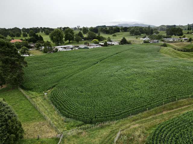 69 Overdale Road Putaruru_2