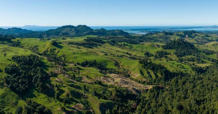 744 Woodlands Road Waihi_13