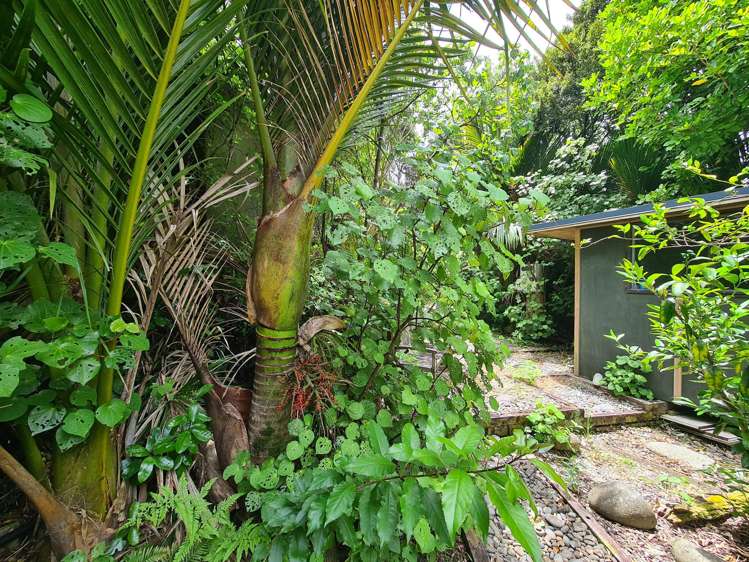 51B Waihirere Drive Coromandel_24