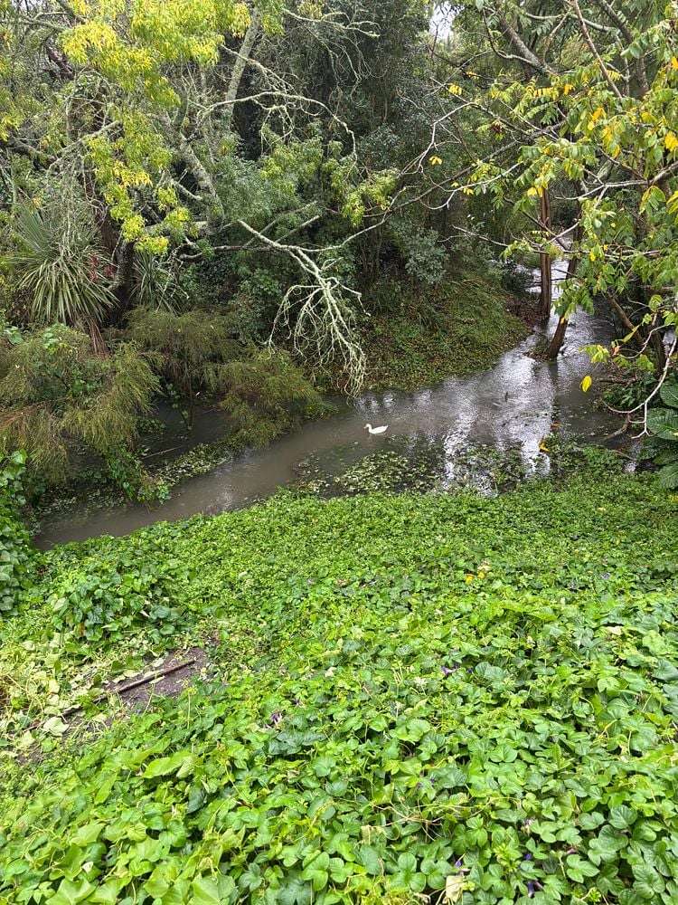 9A Stewart Place Melville_19