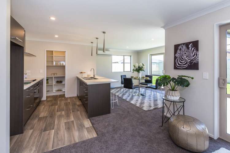 56 Te Waikare Street Lincoln_7