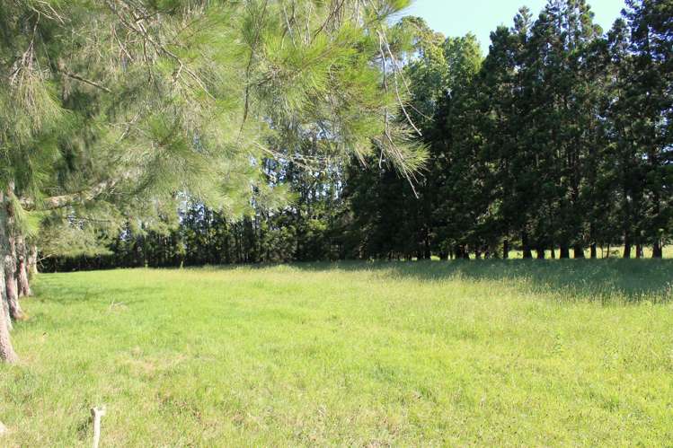 3b Macadamia Lane Kerikeri Surrounds_3