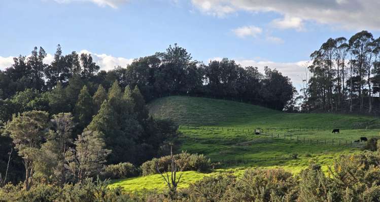109 Hunua Road Drury_1