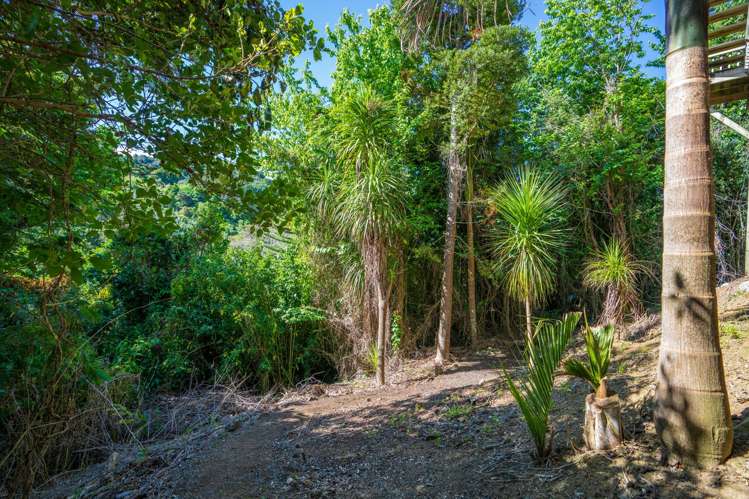 32 Scott Road Tamaterau_33