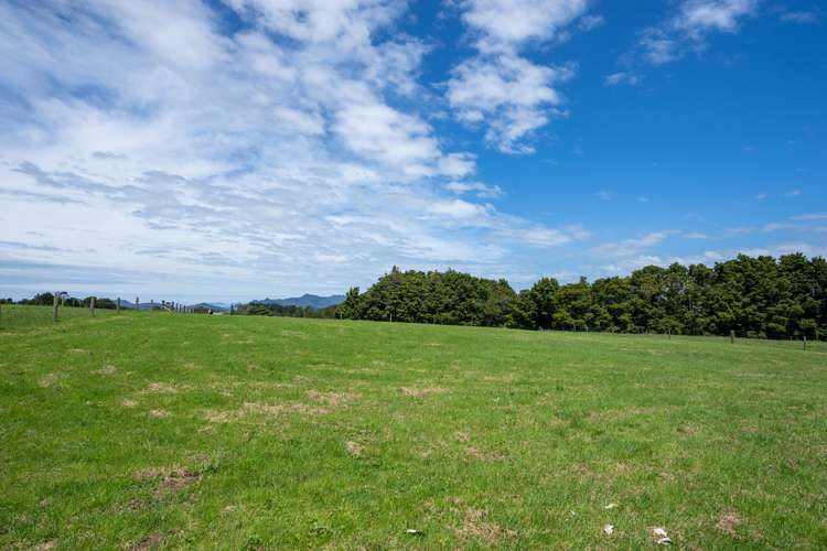 383 Owhiwa Road Parua Bay_10